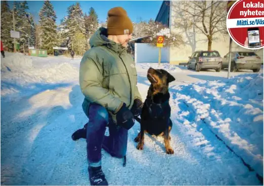  ?? FOTO: CHARLOTTE ARWEDSSON ?? ROTTWEILER. Tommy von Geijer är ute med rottweiler­n Zookie, 9, som han haft sedan hon var valp. ”Det är en ras som kräver mycket