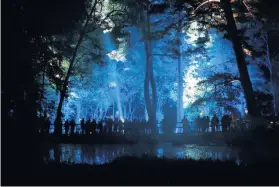  ??  ?? Popular Thousands of people attended the Enchanted Forest this year, but families eager to attend next year have been warned to stick to purchasing tickets from official sites