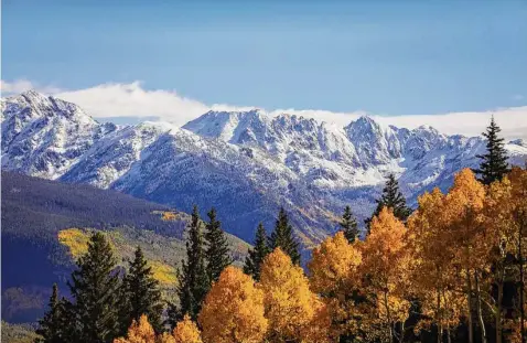  ?? Chris Dillmann / Associated Press ?? Golden-yellow aspens greet visitors to Vail, Colo. The fall foliage in central Colorado is in full swing.