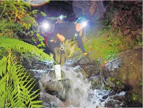  ?? Photo / Supplied ?? Abseiling waterfalls with glow worms everywhere after sunset is an awesome adventure.