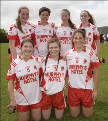  ??  ?? One of the Tinahely teams at last year’s Ellen Kinch Memorial tournament. Photo: Joe Byrne