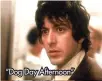  ??  ?? “Dog Day Afternoon”