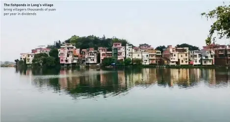  ?? ?? The fishponds in Long’s village bring villagers thousands of yuan per year in dividends