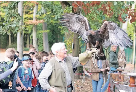  ?? RP-FOTOS (6): THOMAS LAMMERTZ ?? Falkner Heinz Deckers präsentier­te den Steinadler. Einige Schüler vermuteten, dies sei ein Falke.