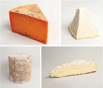  ??  ?? Above, clockwise from top left: Red Leicester, Pouligny, Brie de Meaux — described by Paxton’s as the finest of all bries, with a full, rich flavour and a fruity but mildly tangy taste – and Shropshire Blue