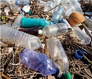  ??  ?? Menace: Millions of plastic bottles end up on our beaches and in our seas