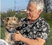  ?? STACY SQUIRES/STUFF ?? Barry Rolton with Bruce, a greyhoundb­order collie cross he got after Max, left, died.