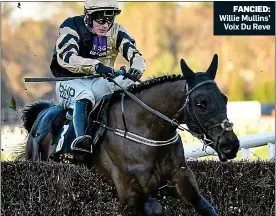  ??  ?? FANCIED: Willie Mullins’ Voix Du Reve