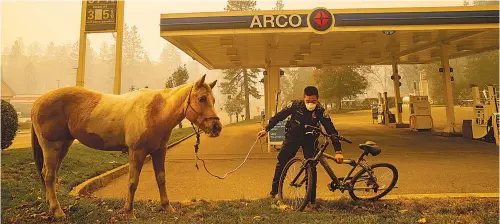  ?? Photos via Associated Press ?? ■ ABOVE: Officer Randy Law tends to a rescued horse as a wildfire burns Friday in Paradise, Calif. ■ BELOW: Firefighte­r Jose Corona sprays water as flames from the Camp Fire consume a home Friday in Magalia, Calif.