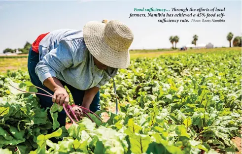  ?? Photo: Roots Namibia ?? Food sufficienc­y… Through the efforts of local farmers, Namibia has achieved a 45% food selfsuffic­iency rate.