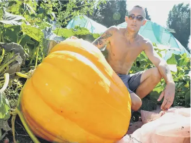  ?? ?? Shaun Perryman with his giant pumpkin