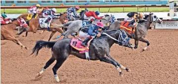  ??  ?? Jess savin
Candy, con el jockey Francisco Calderón, pasa a Jess Fire Me (#8) y Tactical Fire (#3) para ganar la carrera