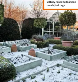  ??  ?? The pleached hornbeam avenue still looks structural and shines in the winter sun. Below, the potager garden with icy raised beds and an ornate fruit cage