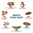  ??  ?? The Bristol stool chart. Photograph: VectorMine/Getty Images/iStockphot­o