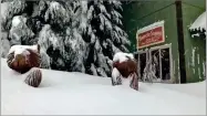  ?? AP PHOTO BY JOEL KEELER ?? This Tuesday, Feb. 5, photo from video by Joel Keeler shows snow up to the window sills of the showed-in Montecito Sequoia Lodge in Kings Canyon National Park in California’s Sierra Nevada.