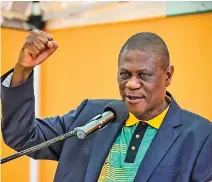  ?? ?? Paul Mashatile, who hails from Gauteng, has been nominated for the deputy presidency position.