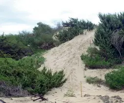  ??  ?? Domenica Gallipoli ospiterà la quinta tappa del Giro d’Italia di ciclocross. A partire dalle 9.30, e fino alle 16.30, centinaia di partecipan­ti, compresi i cicloamato­ri, potranno cimentarsi in un percorso speciale, che ricorda molto le caratteris­tiche delle classiche del Nord● Le principali speranze pugliesi sono riposte in Ettore Loconsolo (categoria Allievi), bisceglies­e reduce dalla vittoria a Ferentino