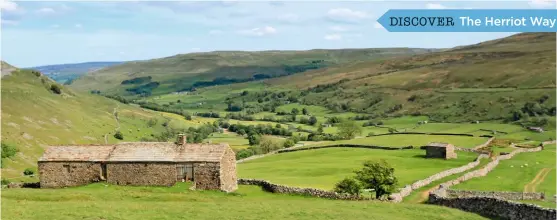  ??  ?? ▲ BARNS & WILDFLOWER­S
Limestone barns, weaving walls, lush green meadows and fellside fields: that’s Swaledale and it’s quite a place to be.