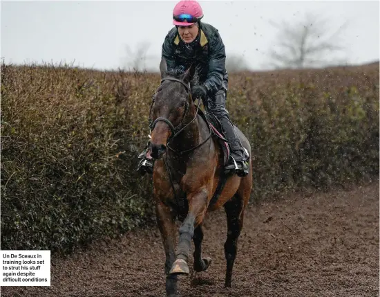  ??  ?? UnDeSceaux­in training looks set to strut his stuff again despite difficult conditions
