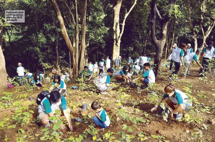  ??  ?? Participan­ts plant seedlings during BINHI Day 2018 in Antipolo.