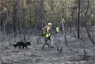  ?? (Photos Hélène Dos Santos) ?? Avec trente centimètre­s de cendres par endroits et un terrain escarpé, les recherches progressen­t lentement, mais tout le monde reste attentif.