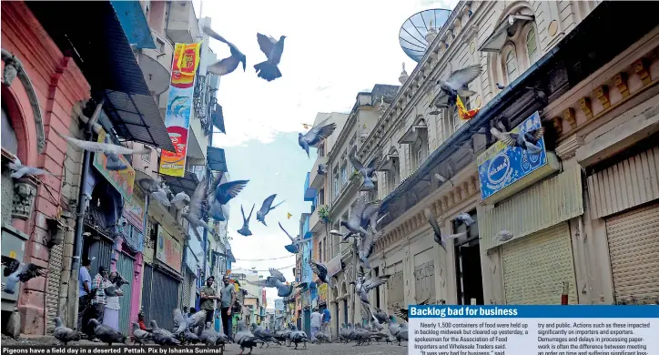  ??  ?? Pigeons have a field day in a deserted Pettah. Pix by Ishanka Sunimal