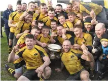  ??  ?? Ashbourne celebrate their All-Ireland Junior triumph