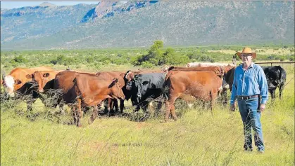  ?? Picture: SUPPLIED ?? GOING UP: Red Meat Producers Organisati­on national vice-chairman Dr Pieter Prinsloo, who farms in the Komani (Queenstown) district, says the price of beef has soared by 17% since December and will go up by another 13% by the end of the year