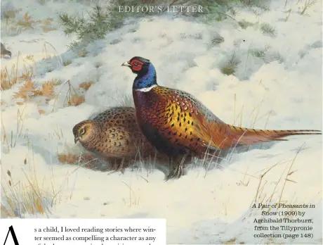  ??  ?? A Pair of Pheasants in Snow (1909) by Archibald Thorburn, from the Tillyproni­e collection (page 148)