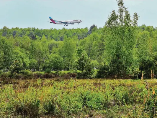  ??  ?? Auch der Köln-Bonner Flughafen ist in der Wahner Heide nicht weit. Er wurde Ende der 50er Jahre mitten in das Naturschut­zgebiet gebaut.