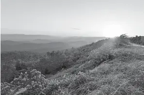  ?? Arkansas Department of Parks and Tourism ?? ■ An overlook along Talimena Scenic Drive in the Ouachita Mountains. The Queen Wilhelmena State Park is along the drive and is the top state park on teh Talihena Parkway.