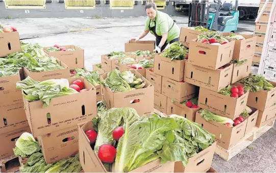  ?? CAVARETTA/SUN SENTINEL ?? Dana Finegan, a volunteer with Restoratio­n Bridge, puts together boxes of mixed produce at Mecca Farms in Lake Worth. Customers can buy deeply discounted fruits and vegetables from six South Florida farms in Broward and Palm Beach counties.JOE