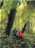  ??  ?? Richie and Gemma McCaw venturing deeper into the Fiordland wilderness.