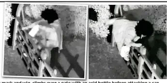  ??  ?? Caught on CCTV: The woman, wearing a mask and wig, climbs over a gate with an acid bottle before attacking a car