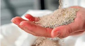  ??  ?? Chia seeds are a great vegetarian source of omega-3 alpha-linolenic acid.