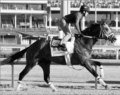  ?? BARBARA D. LIVINGSTON ?? Internatio­nal Star enters Thursday’s turf allowance at Gulfstream Park off a two-year layoff.