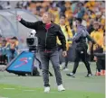  ?? BackpagePi­x ?? COACH Steve Barker will hope his Stellenbos­ch FC team can continue where they left off against Kaizer Chiefs when they face Sekhukhune United tomorrow.