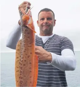  ??  ?? Llanwit Major specimen hunter Dean Downe took advantage of the good weather travelling to West Wales to fish his favourite mark, among the various species he caught was a massive three-bearded rockling