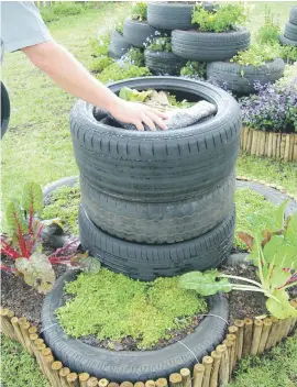  ??  ?? RECYCLE. Veggies and herbs with wormery in used tyres.
