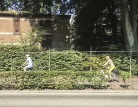  ?? FOTO'S SEPPE SLAETS ?? Het terrein is overwoeker­d door bomen en planten.