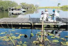  ?? TAIMY ALVAREZ/STAFF PHOTOGRAPH­ER ?? An airboat with visitors to Everglades Holiday Park leaves for a tour on Monday morning as Mr. H. and Mrs. B. McLeod use chicken nuggets to fish on the docks in Davie. Married for 56 years, the McLeods come out to fish once a week and plan to bring...