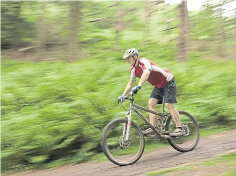  ?? ?? PERI-URBAN JUNGLE: Cyclists, walkers, dog owners and horse riders all use the same paths through our woods.