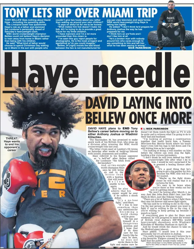  ??  ?? THREAT: Haye wants to end his opponent’s career DAVID HAYE plans to Tony Bellew’s career before moving on to either Anthony Joshua or Wladimir Klitschko.