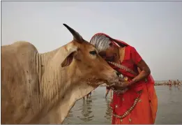  ?? RAJESH KUMAR SINGH — THE ASSOCIATED PRESS FILE ?? A woman worships a cow in Allahabad, India, June 8, 2014. Indian officials have called for citizens to hug cows on Valentine’s Day.