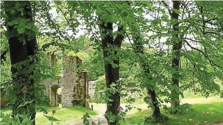  ?? | PHOTO : ARCHIVES OUEST-FRANCE ?? La forêt de Carnoët, près de Quimperlé, est le théâtre de la légende de sainte Tréphine.