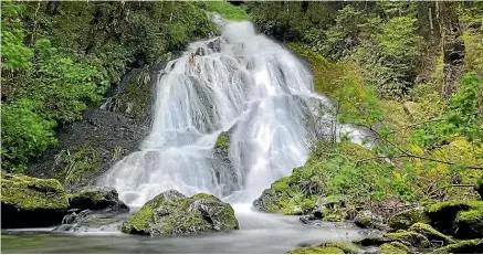  ??  ?? A hidden waterfall visited during our jet-boat trip.