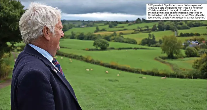  ?? ?? FUW president Glyn Roberts says: “When a piece of farmland is sold and planted with trees it is no longer officially available to the agricultur­al sector for offsetting emissions, and if someone plants trees on Welsh land and sells the carbon outside Wales then this does nothing to help Wales reduce its carbon footprint.”