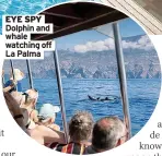  ?? ?? EYE SPY Dolphin and whale watching off La Palma