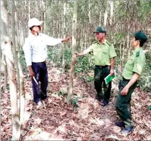  ?? VIETNAM NEWS AGENCY/VIET NAM NEWS ?? Forest rangers inspect regrown forests in Krong Chro district of Vietnam’s Gia Lai province.
