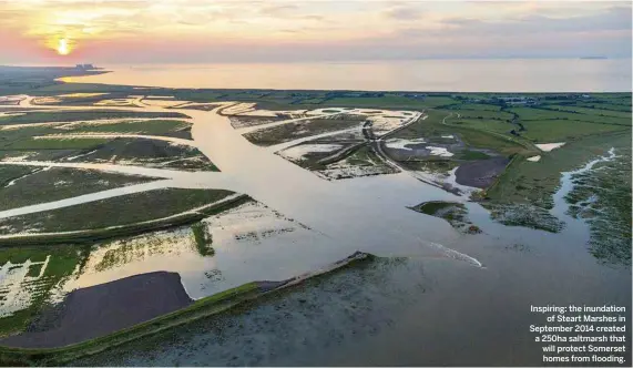  ??  ?? Inspiring: the inundation­of Steart Marshes in September 2014 created a 250ha saltmarsh that will protect Somerset homes from flooding.